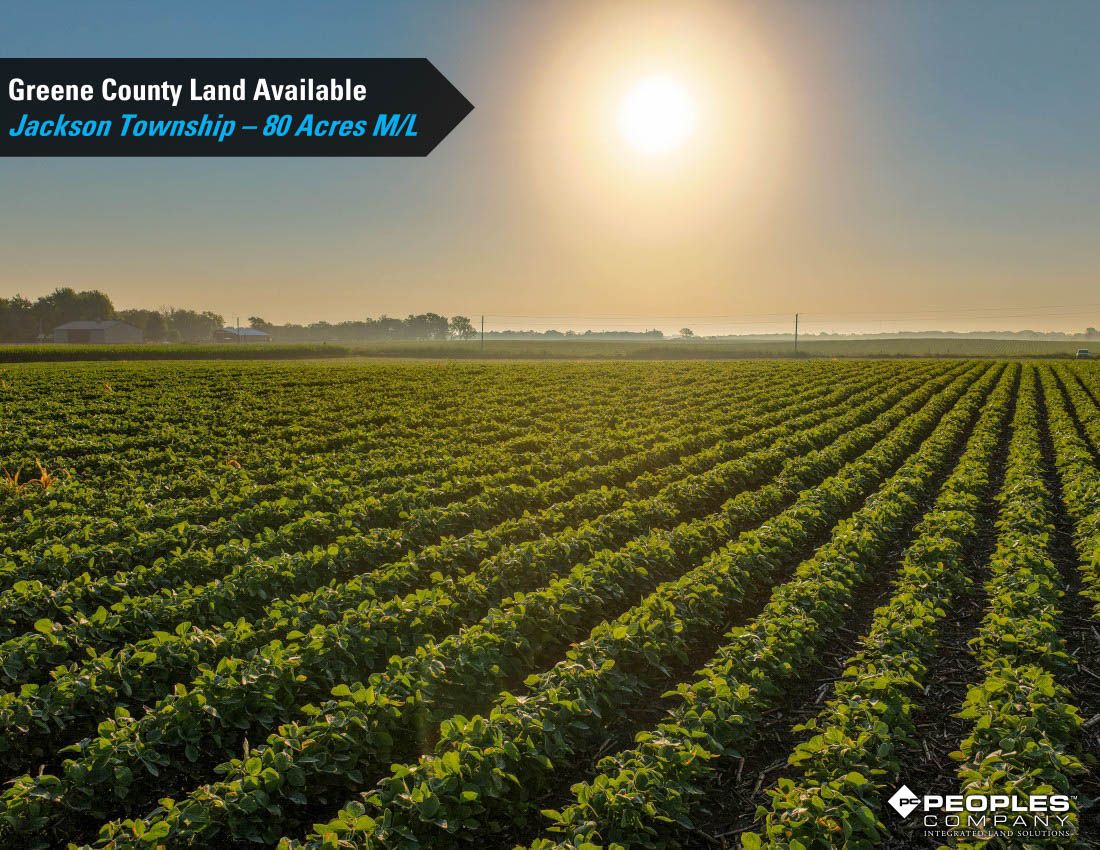 Listing Photo: Greene-County-Iowa-Farmland-Available-80-Acres-Scranton-Jefferson-19706 (2)